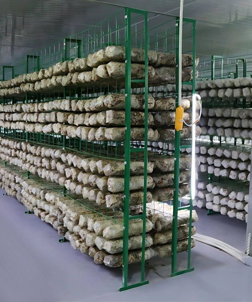 MushroomRack Mushroom Growing Solutions
